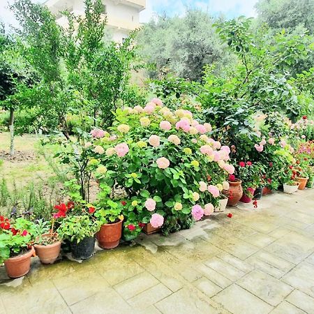 Apartament Me Qera Dublex Lungomare Vlorë 외부 사진