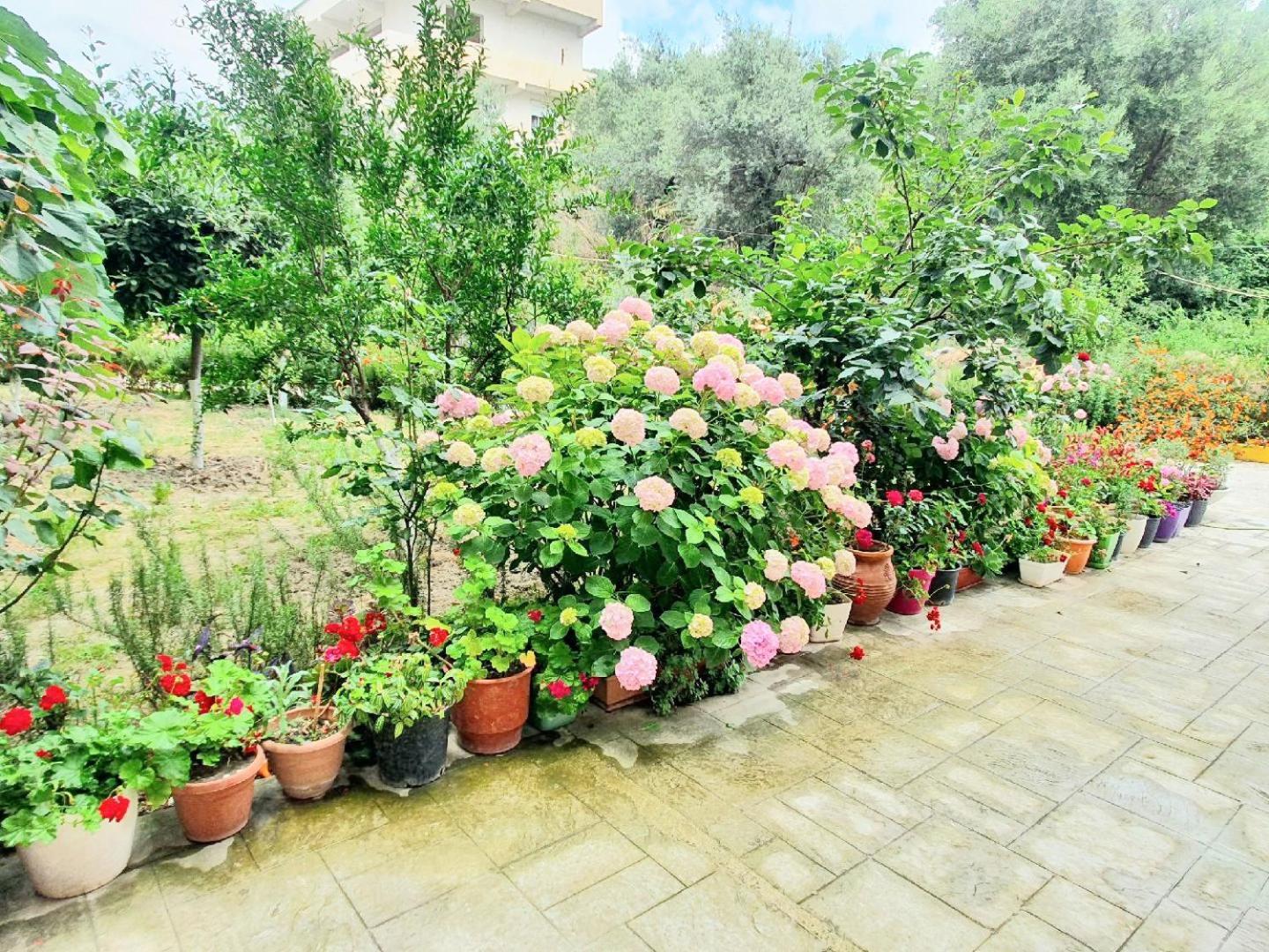 Apartament Me Qera Dublex Lungomare Vlorë 외부 사진